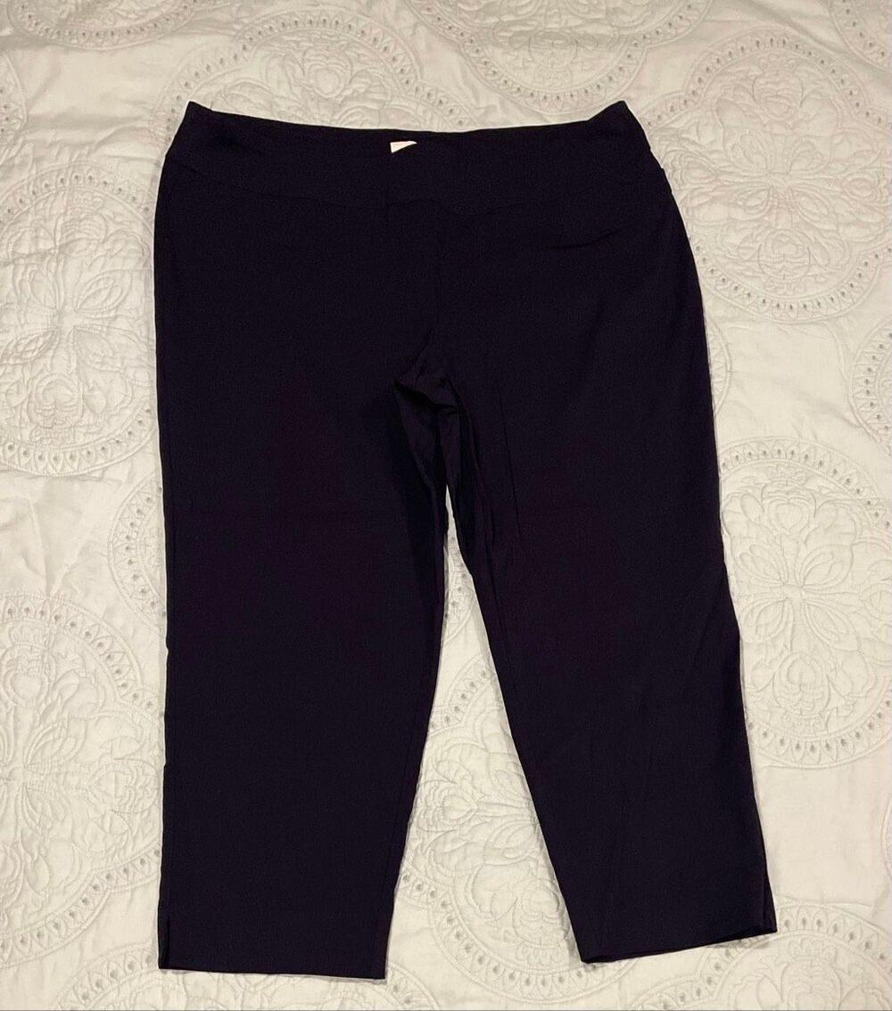 Zac & Rachel Skinny Ankle Navy Pants 20W New
